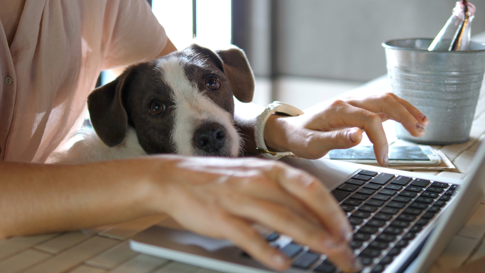 home office na quarentena